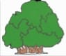 Logo de Libreria el Bosque